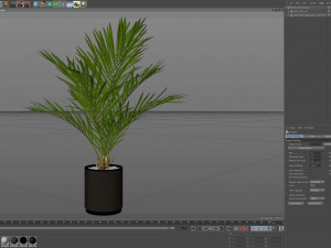 Plants collection 580 3D 模型