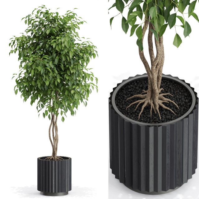 Plants collection 581 3D 模型 .c4d .max .obj .3ds .fbx .stl .blend