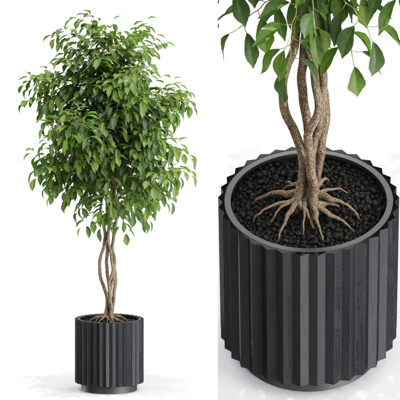 Plants collection 581 3D Model .c4d .max .obj .3ds .fbx .stl .blend