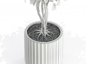 Plants collection 581 3D 模型
