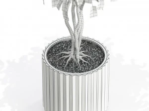 Plants collection 581 3D Model