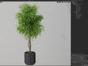 Plants collection 581 3D 模型