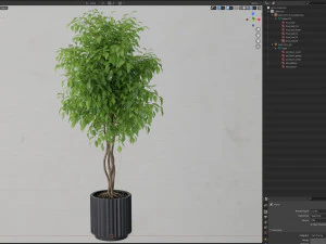 Plants collection 581 3D Model