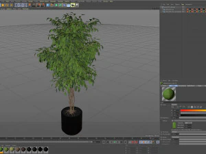 Plants collection 581 3D Model