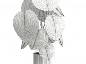 Plants collection 582 3D Model