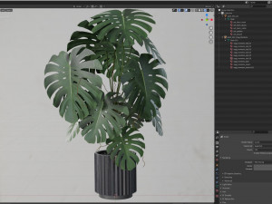 Plants collection 582 3D Model