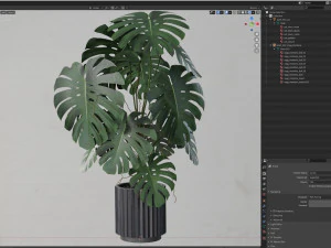 Plants collection 582 3D Model