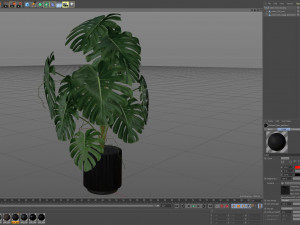 Plants collection 582 3D Model