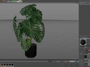 Plants collection 582 3D Model