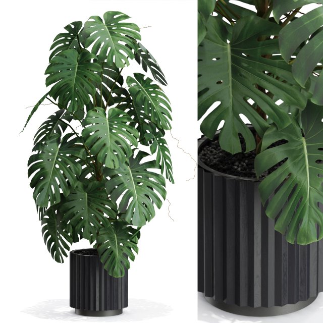 Plants collection 583 3Dモデル .c4d .max .obj .3ds .fbx .stl .blend