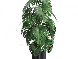 Plants collection 583 3D Model