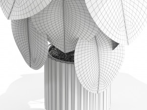 Plants collection 583 3Dモデル