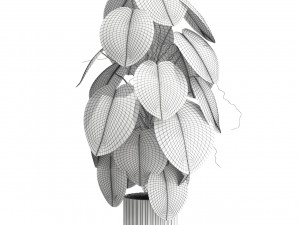 Plants collection 583 3Dモデル
