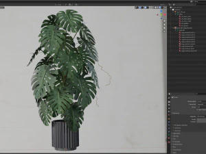 Plants collection 583 3D Model