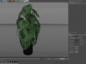 Plants collection 583 3Dモデル