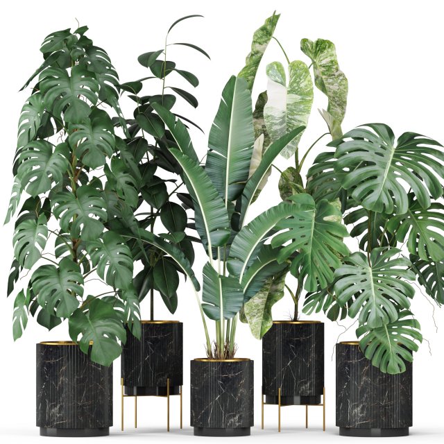 Plants collection 584 3D Model .c4d .max .obj .3ds .fbx .stl .blend 