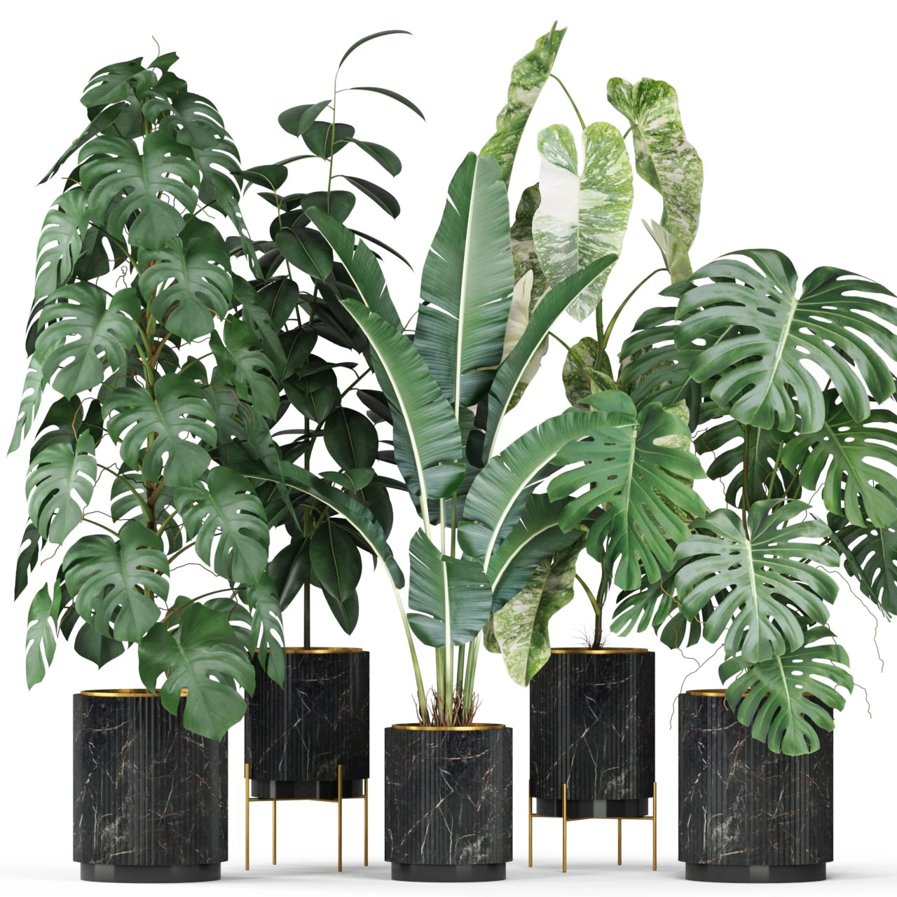 Plants collection 584 3D Model .c4d .max .obj .3ds .fbx .stl .blend 