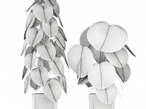 Plants collection 584 3D Model