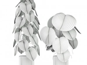 Plants collection 584 3D Model
