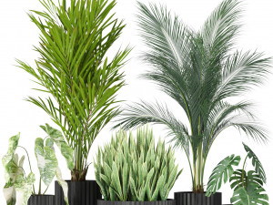 Plants collection 585 3D Модель