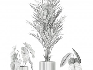 Plants collection 585 Model 3D
