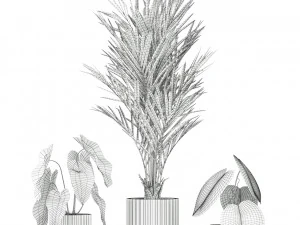 Plants collection 585 3D Model