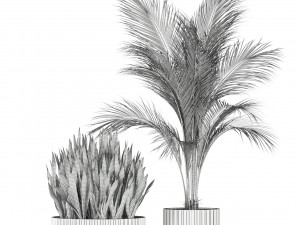 Plants collection 585 Model 3D