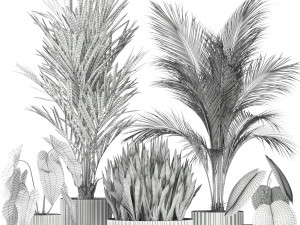 Plants collection 585 Model 3D