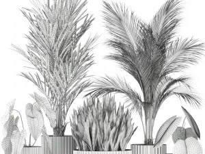 Plants collection 585 3D Model