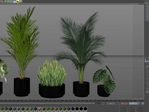 Plants collection 585 Model 3D