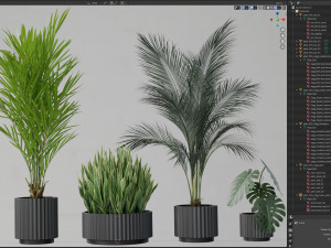 Plants collection 585 Model 3D