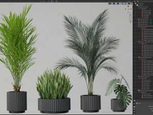 Plants collection 585 3D Model
