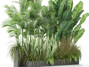 Plants collection 586 3D Model