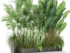 Pflanzensammlung 586 3D Modell