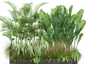 Plants collection 586 Modèle 3D