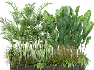 Plants collection 586 3D Model