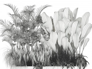 Plants collection 586 Modèle 3D