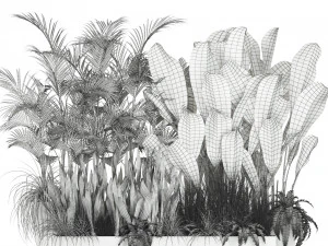 Plants collection 586 3D Model