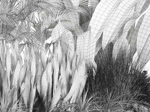 Plants collection 586 Modèle 3D