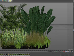 Plants collection 586 3D Model