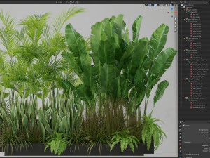 Plants collection 586 3D Model