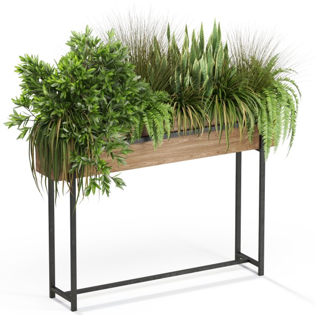 Plants collection 587 Modèle 3D .c4d .max .obj .3ds .fbx .stl .blend 