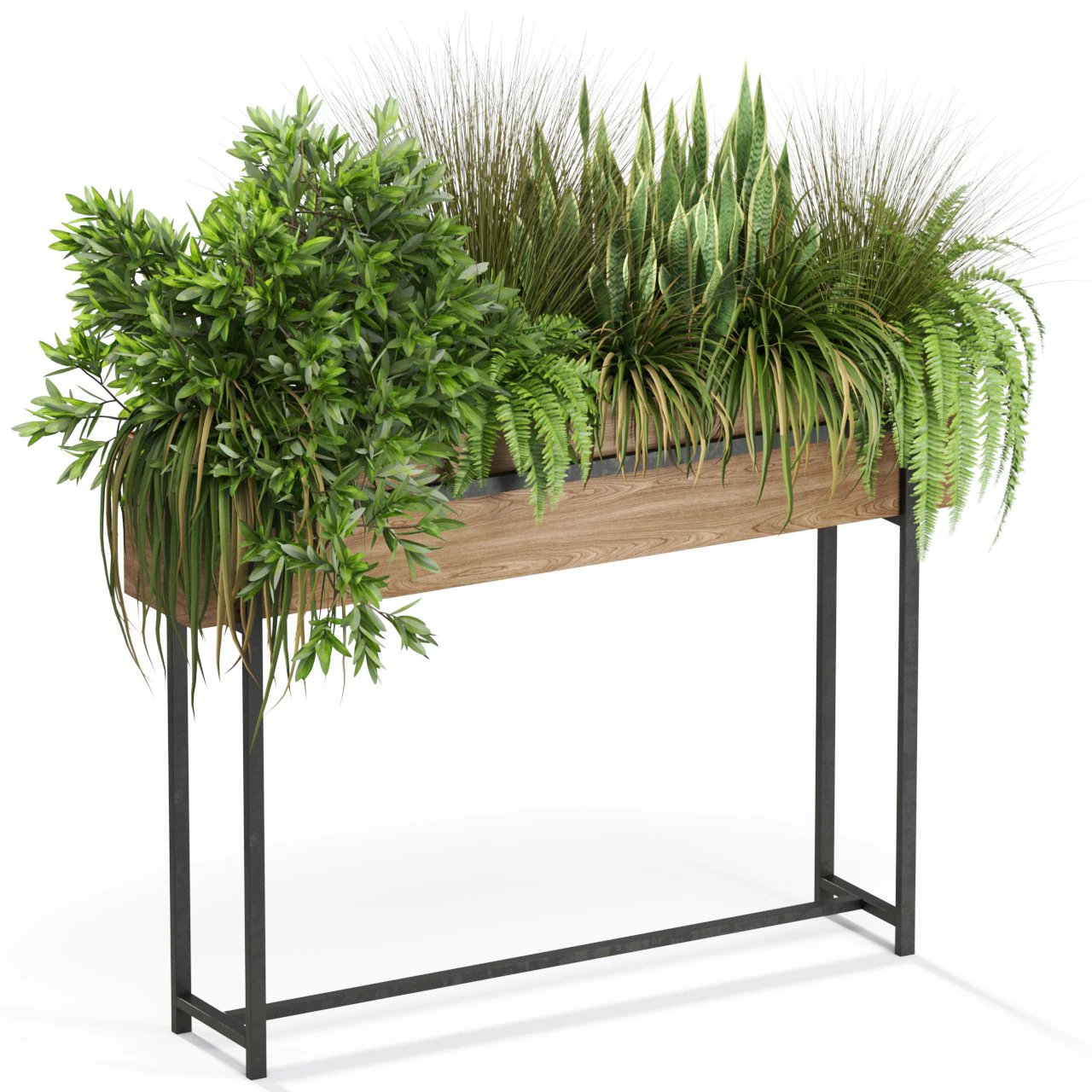 Plants collection 587 3D Model .c4d .max .obj .3ds .fbx .stl .blend 