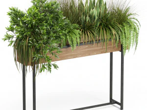 Pflanzensammlung 587 3D Modell