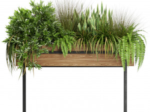 Plants collection 587 Modèle 3D