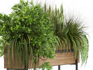 Plants collection 587 3D Model