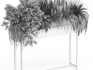 Plants collection 587 Modèle 3D