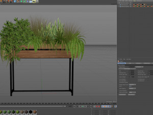 Plants collection 587 Modèle 3D