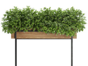 Plants collection 588 3D Model