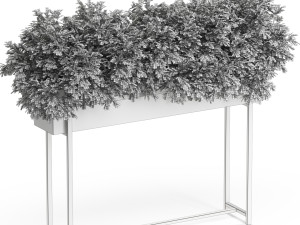Plants collection 588 3Dモデル